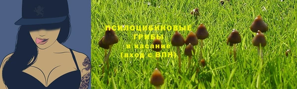 спиды Абаза