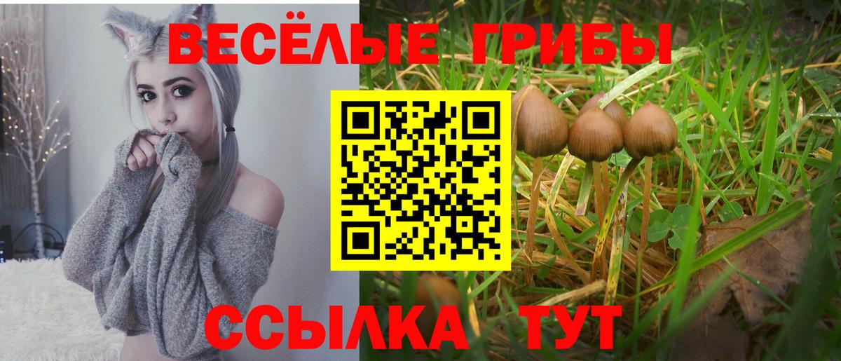 Туапсе  Псилоцибиновые грибы GOLDEN TEACHER  Вход с VPN 